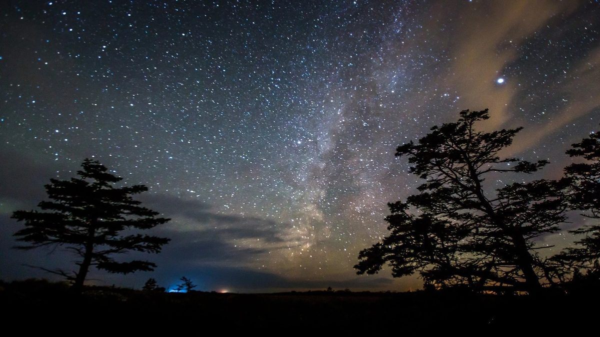 A starry night sky over Kejimkujik