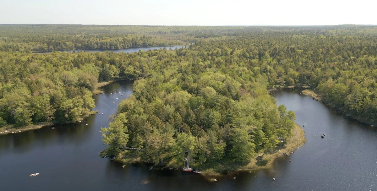Kayakers on the river
